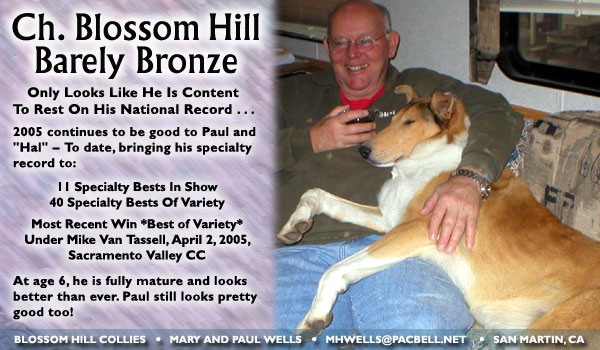 Ch. Blossom Hill Barely Bronze