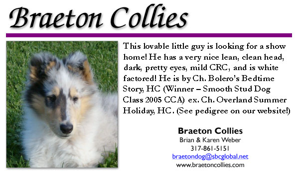 Braeton Collies