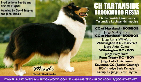 Ch. Tartanside Bookwood Fiesta