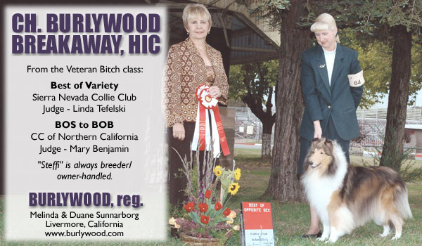 Ch. Burlywood Breakaway, HIC