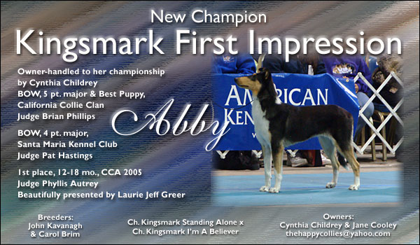 Ch. Kingsmark First Impression