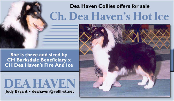 Ch. Dea Haven's Hot Ice