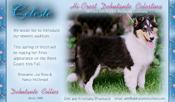 Hi-Crest Debutante Celestina