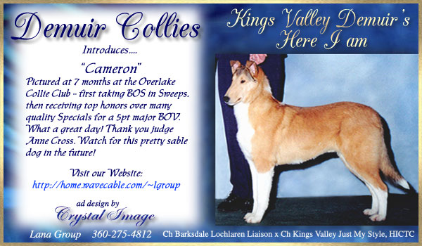 Kings Valley Demuir's Here I Am