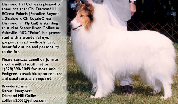 Ch. DiamondHill RCrest Polaris