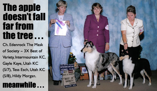 Ch. Edenrock The Mask of Society