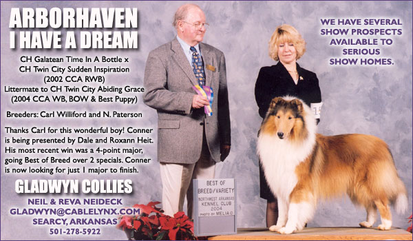 Gladwyn Collies -- Arborhaven I Have A Dream