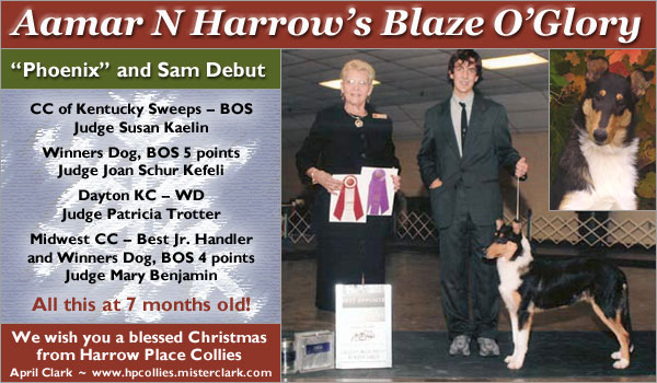 Harrow Place -- Aamar N Harrow's Blaze O'Glory