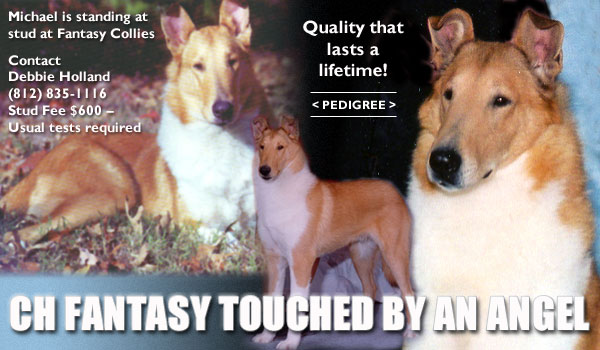 Ch. Fantasy Touched By An Angel