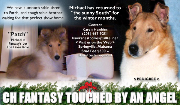 Ch. Fantasy Touched By An Angel