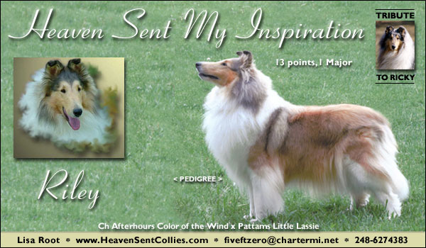 Heaven Sent My Inspiration