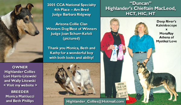 Highlander's Chieftain MacLeod, HCT, HIC, HT