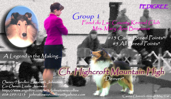 Ch. Highcroft Mountain High