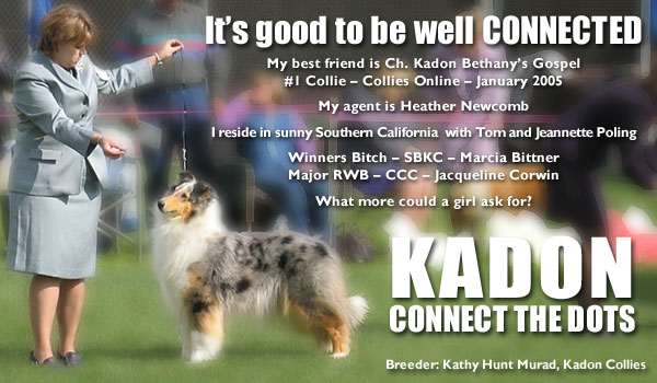 Kadon Connect The Dots