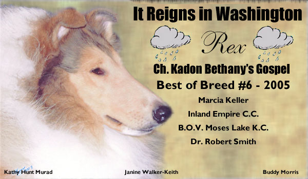 Ch. Kadon Bethany's Gospel