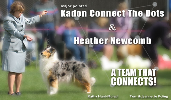 Kadon Connect The Dots