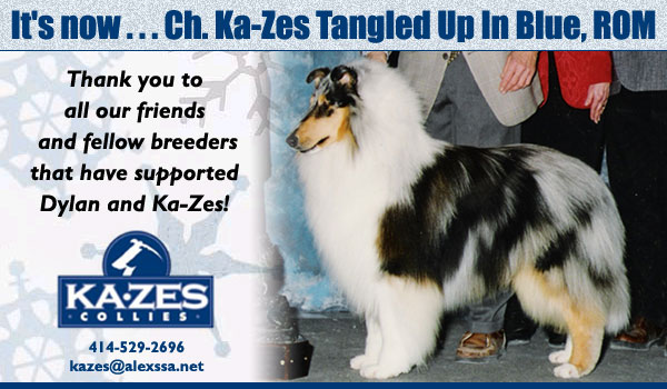 Ch. Ka-Zes Tangled Up In Blue, ROM