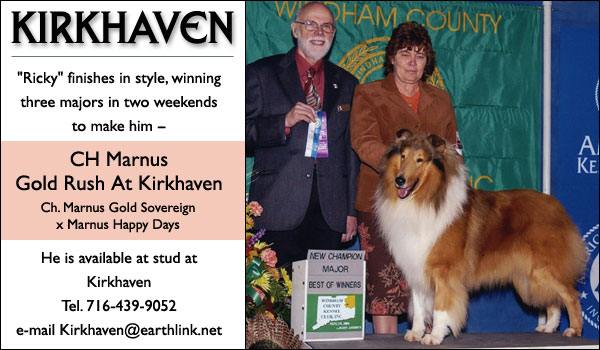 Ch. Marnus Gold Rush at Kirkhaven