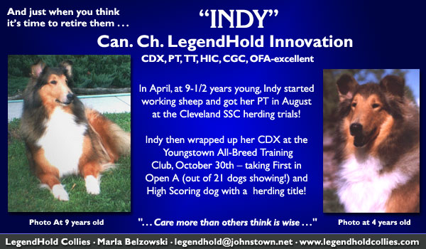 Can. Ch. LegendHold Innovation