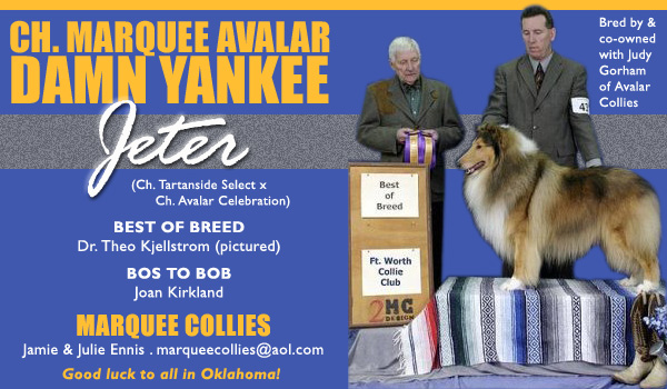 Ch. Marquee Avalar Damn Yankee