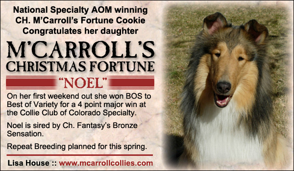 M'Carroll's Christmas Fortune