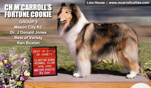 Ch. M'Carroll's Fortune Cookie