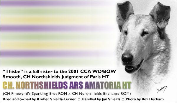 Ch. Northshields Ars Amatoria HT