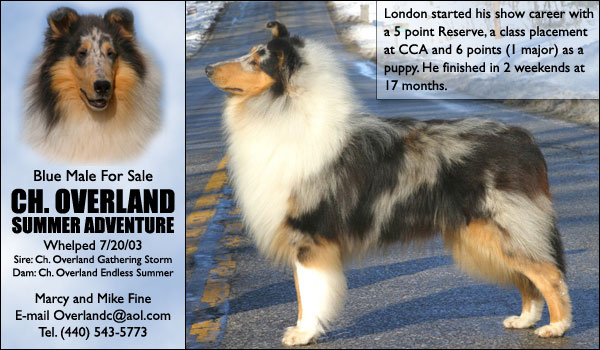 Ch. Overland Summer Adventure