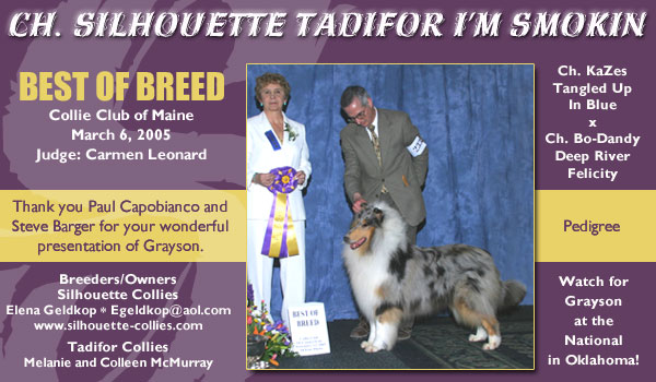 Ch. Silhouette Tadifor I'm Smokin