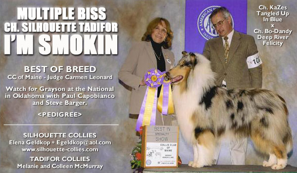 Ch. Silhouette Tadifor I'm Smokin