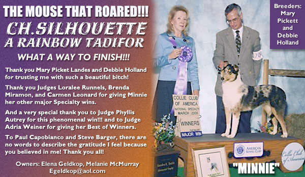 Ch. Silhouette A Rainbow Tadifor