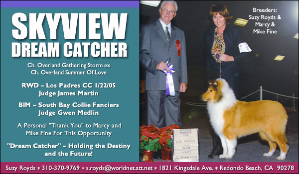 Skyview Dream Catcher