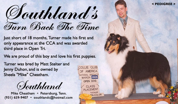 Southland's Turn Back The Time