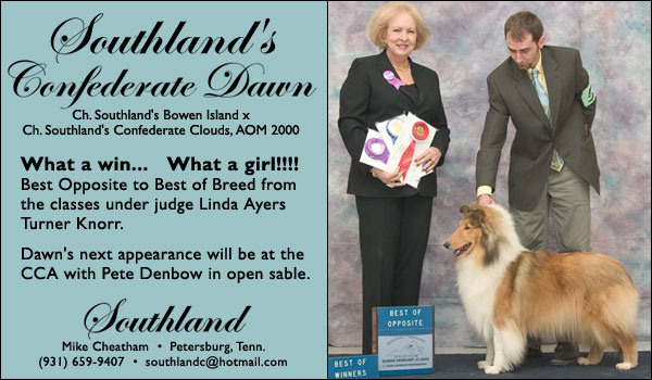 Ch. Southland's Confederate Dawn