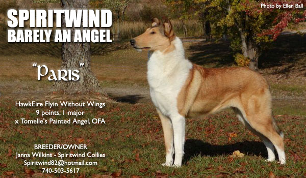 Avondale Spiritwind Aurora