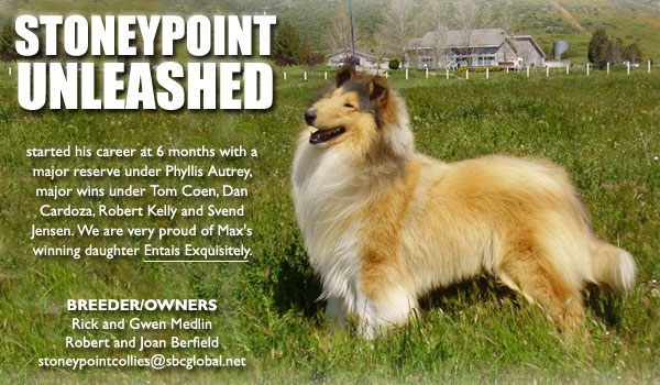 Stoneypoint Unleashed