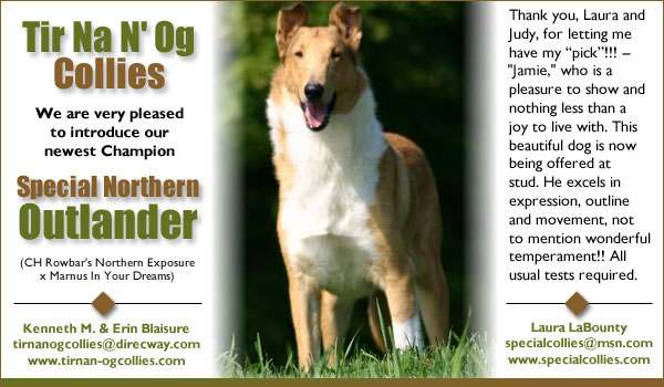 Ch. Special Northern Outlander