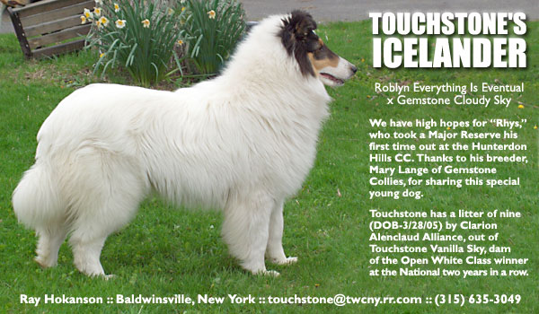 Touchstone's Icelander