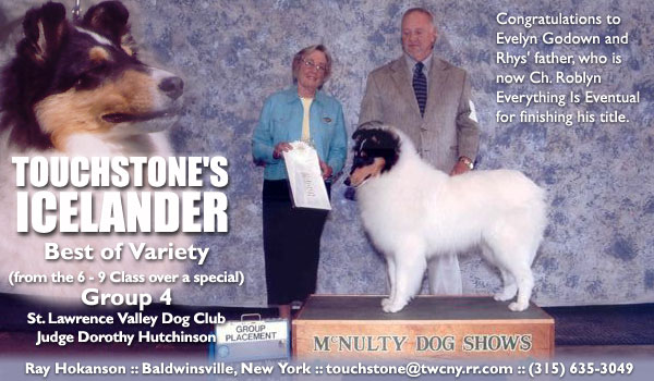 Touchstone's Icelander