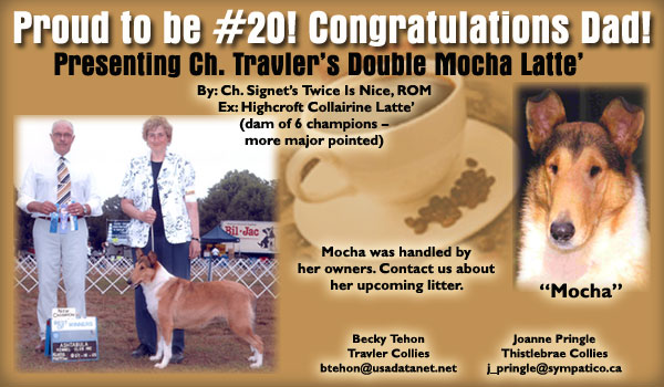 Ch. Travler's Double Mocha Latte'