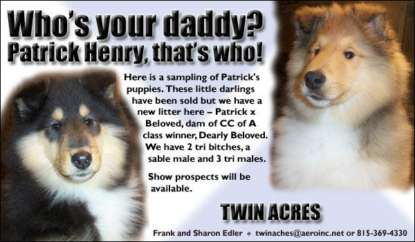 Twin Acres Collies