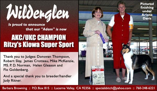 Ch. Ritzy's Kiowa Super Sport