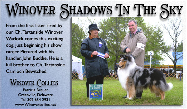 Winover Shadows In The Sky