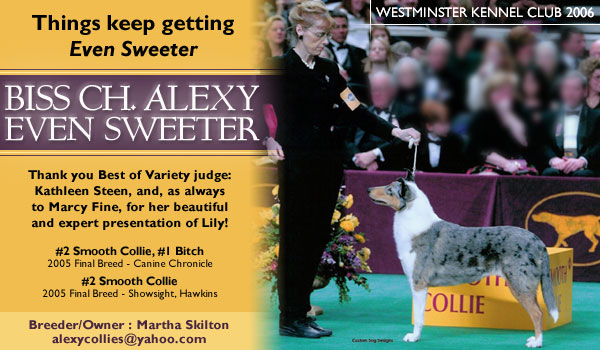 Ch. Alexy Even Sweeter