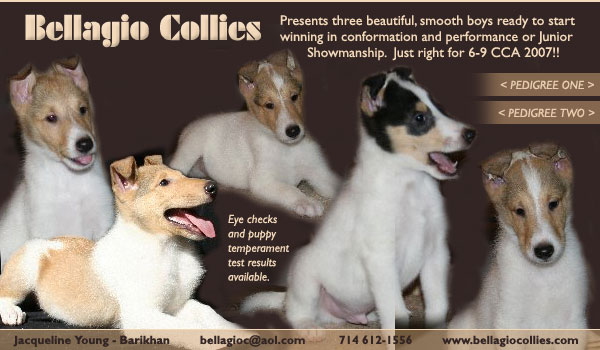 Colette Livingston and Cathy Squire -- CH Littlefield Mission Impossible