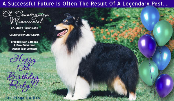 Blu Ridge -- Ch. Countryview Monumental