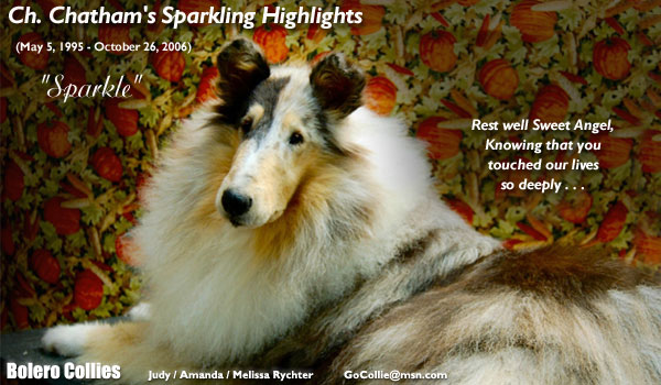 Bolero Collies -- CH Chatham's Sparkling Highlights