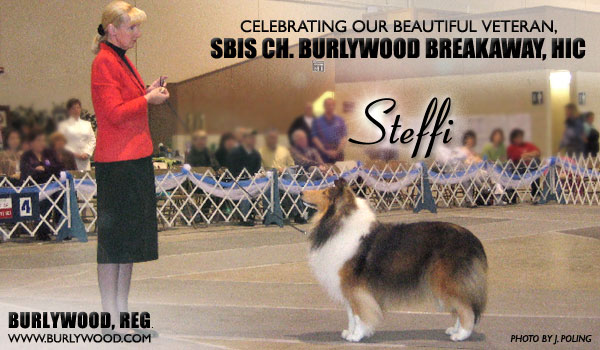 Burlywood -- Ch. Burlywood Breakaway, HIC