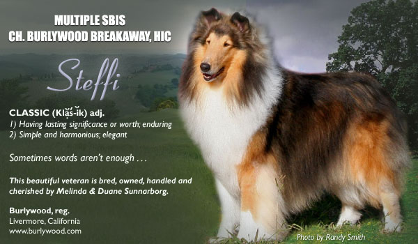 Burlywood -- CH Burlywood Breakaway, HIC