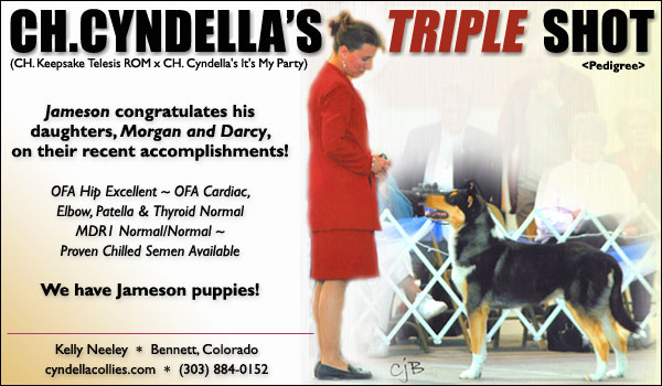 Cyndella -- CH Cyndella's Triple Shot